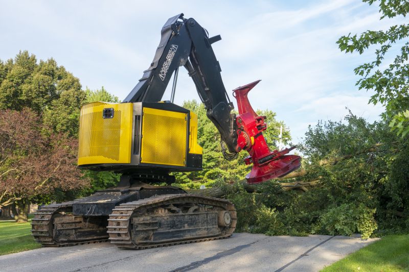Equipment for Large Tree Removal